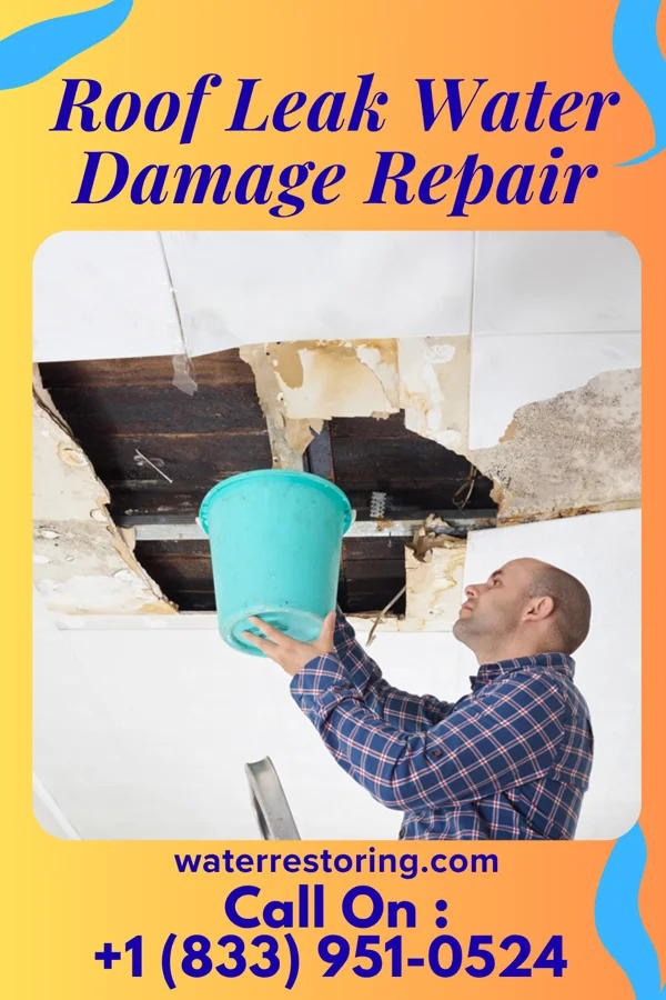 Roof Leak Water Damage Repair in Moran, KS